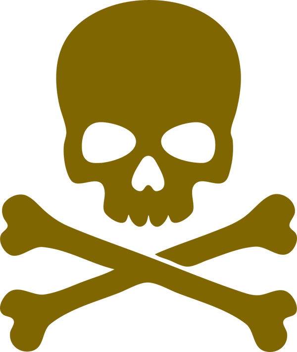 Pirate Bible