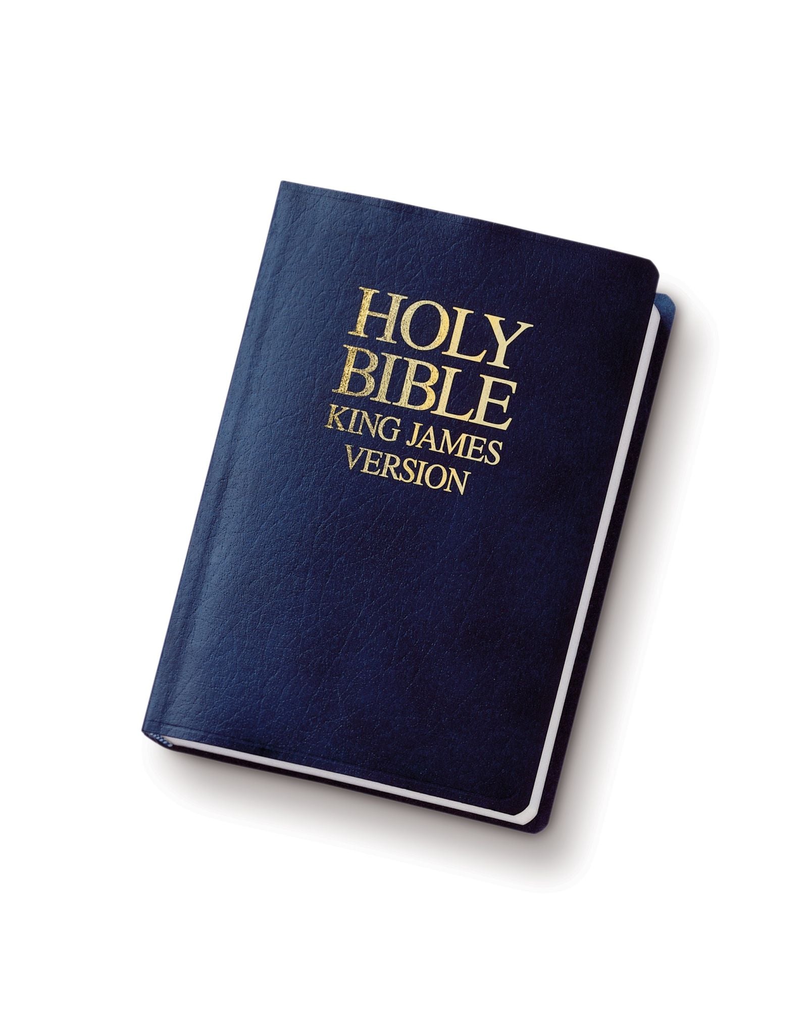 Free Bible King James Version Pirate Bible free-bible-king-james-version-pirate-bible
